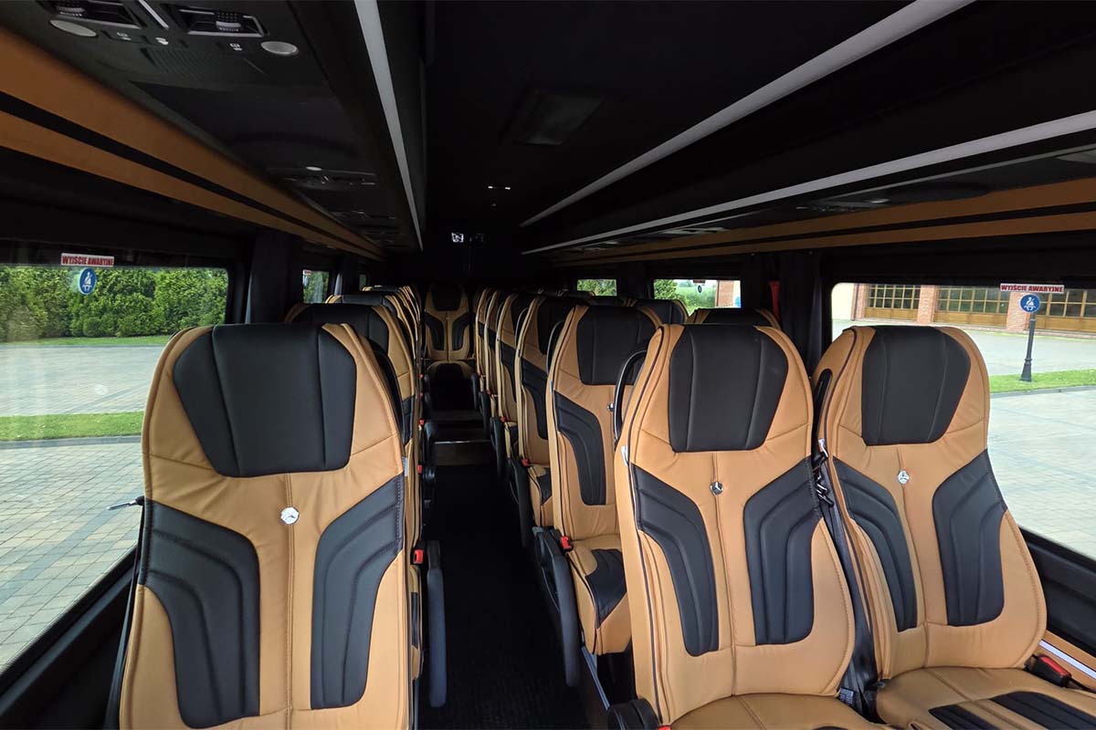mercedes-sprinter -vip-3